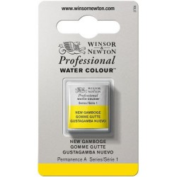 Acuarela Profesional W&N